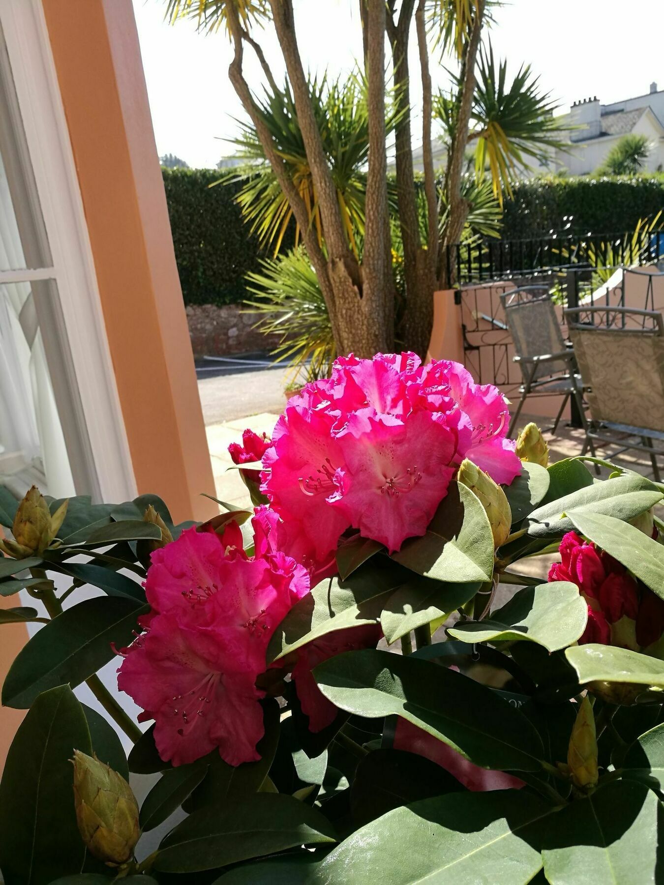 The Devon Court Hotel Torquay Exterior foto
